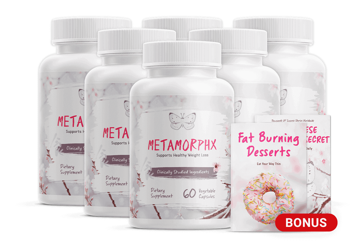 MetaMorphX